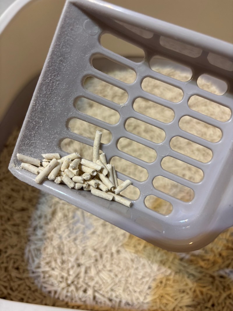 女人知己試用大隊,口碑行銷,部落客行銷,PurreLand 倍淨豆腐貓砂,好市多購買,COSTCO購買,豆腐貓砂,PurreLand倍淨,低粉塵,易清理,可沖馬桶,提供絕佳的除臭與凝結力,豆腐貓砂評價,貓砂評價,使用心得,貓砂分享,好用,原味,綠茶,豆腐砂,水量需完全覆蓋貓砂,水量需貓砂的2~3倍以上,豆腐砂評價,高CP值,划算